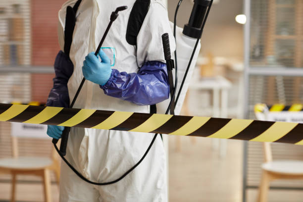 Professional Sewage Cleanup technician working in Hampton, NE